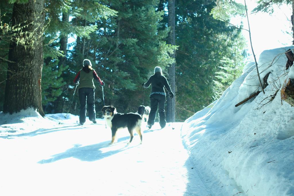 Western Pleasure Guest Ranch Sandpoint Exteriér fotografie