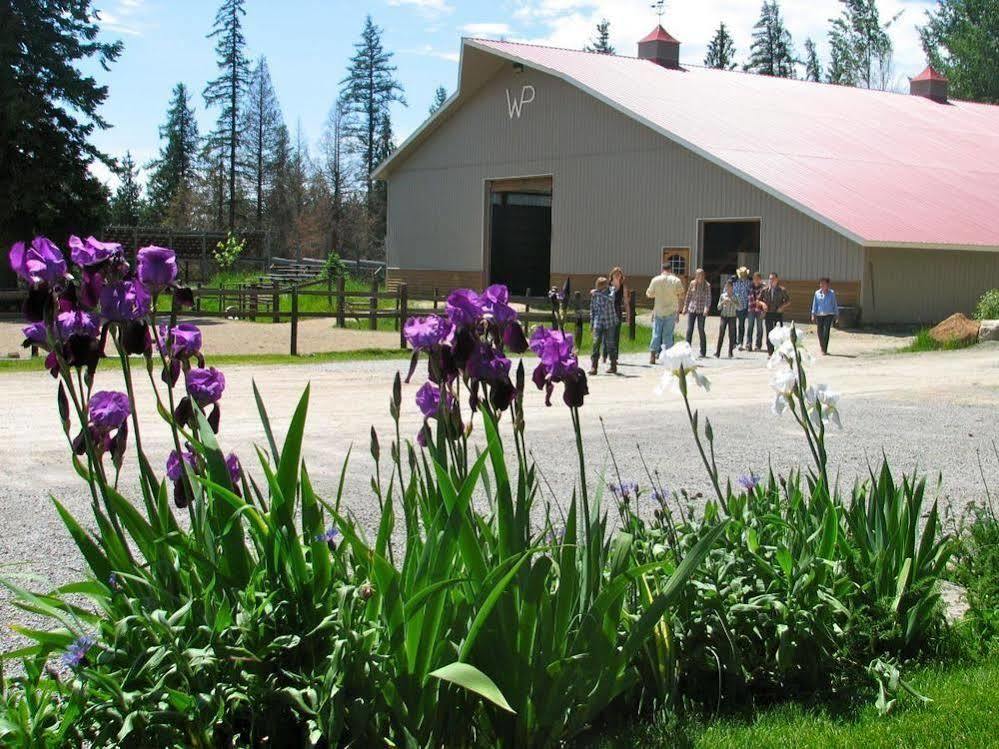 Western Pleasure Guest Ranch Sandpoint Exteriér fotografie